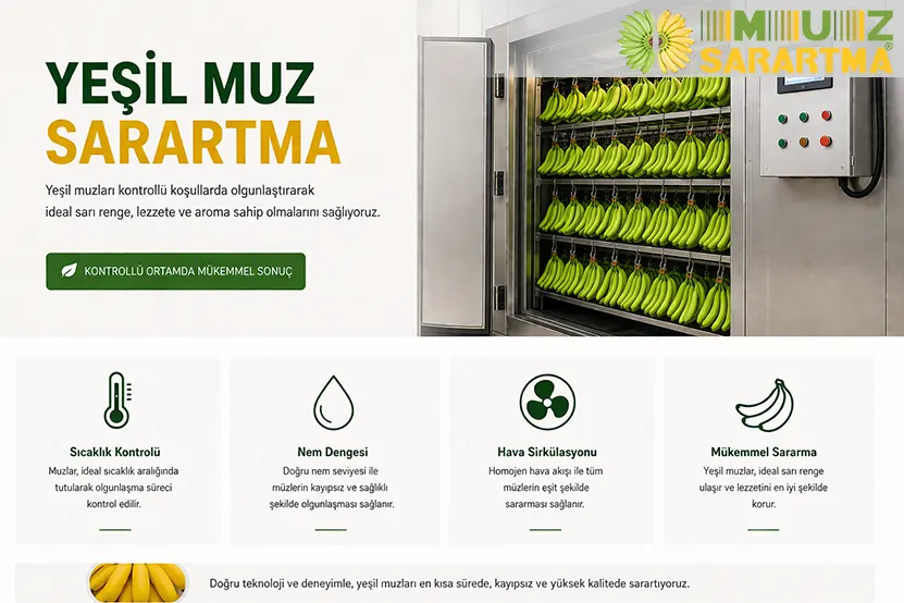 Yeşil Muz Sarartma